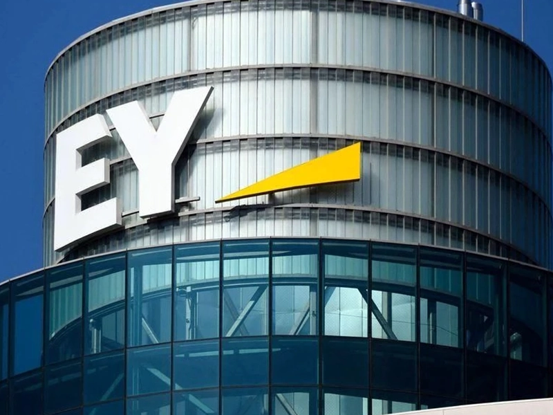 Ernst & Young Global Limited
