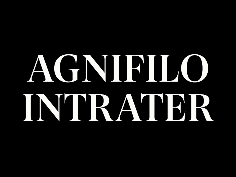 Agnifilo Intrater LLP